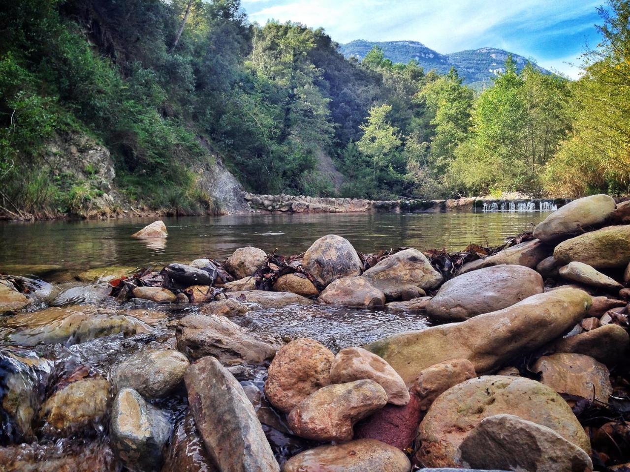 ホテル Camping Bassegoda Park Albanya エクステリア 写真